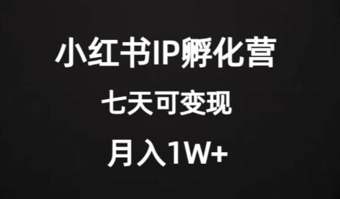 价值2000+的小红书IP孵化营项目，超级大蓝海，七天即可开始变现，稳定月入1W+-网赚项目平台