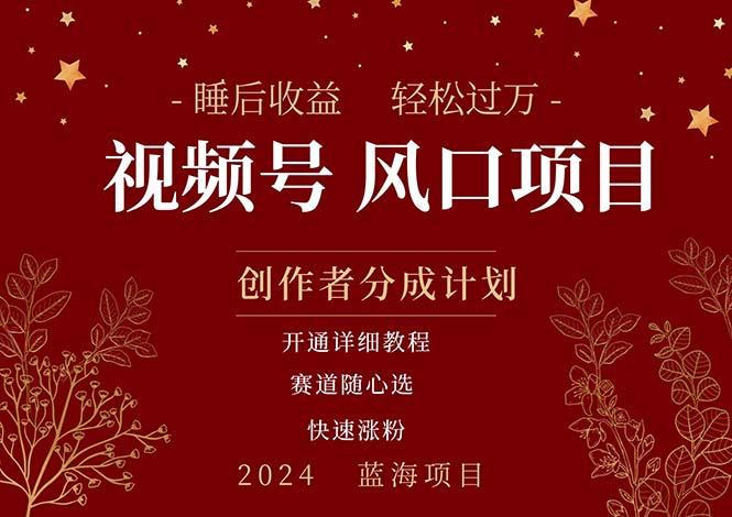拥有睡眠收益的微信视频号大风口项目，轻松月入过万+，多赛道选择，可…-网赚项目平台