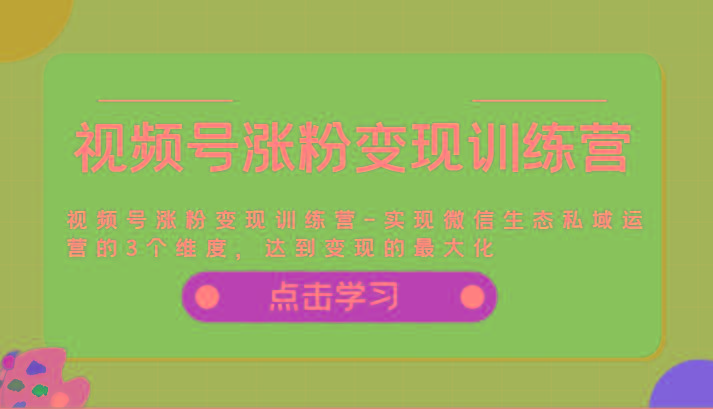 视频号涨粉变现训练营-实现微信生态私域运营的3个维度，达到变现的最大化-网赚项目平台