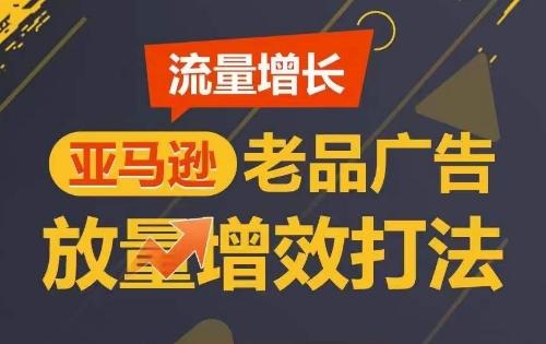 流量增长 亚马逊老品广告放量增效打法，短期内广告销量翻倍-网赚项目平台