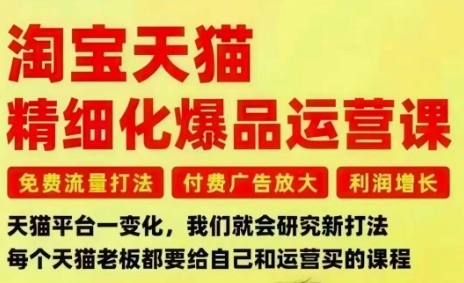 淘宝天猫精细化爆品运营课，免费流量打法-付费广告放大-利润增长-三大核心痛点，一次全部解决-网赚项目平台