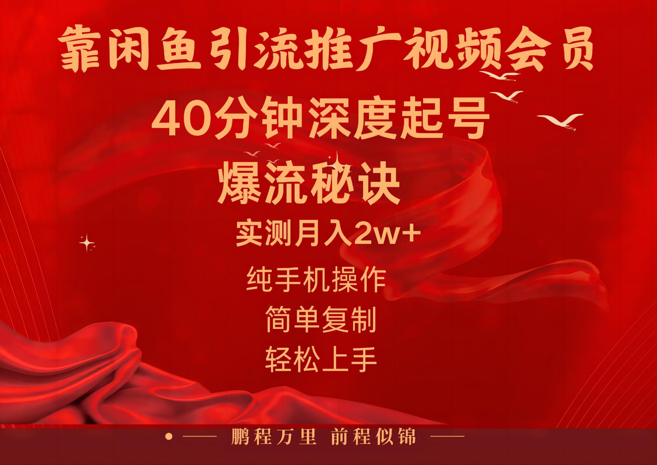 闲鱼暴力引流推广视频会员，能做到日入2W+，操作简单-网赚项目平台