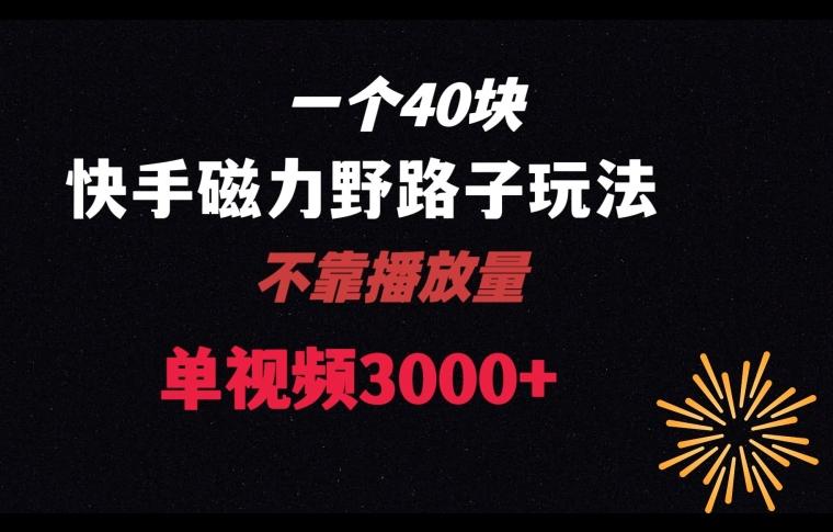 一个40块，快手联合美团磁力新玩法，无视机制野路子玩法，单视频收益4位数【揭秘】-网赚项目平台