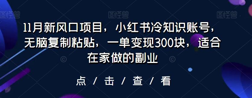 11月新风口项目，小红书冷知识账号，无脑复制粘贴，一单变现300块，适合在家做的副业-网赚项目平台