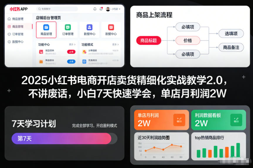 2025小红书电商开店卖货精细化实战教学2.0，不讲废话，小白7天快速学会，单店月利润2W-网赚项目平台