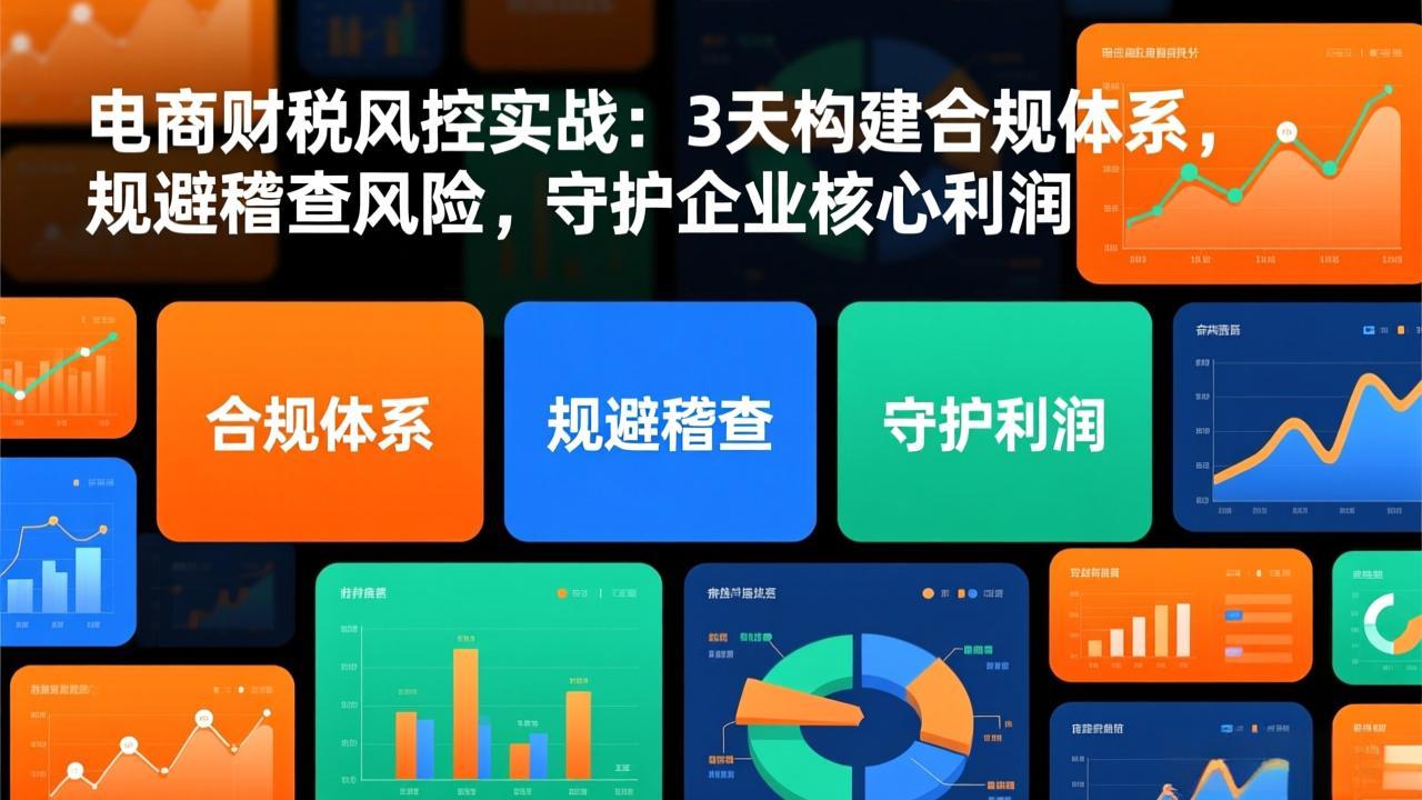 电商财税风控实战：3天构建合规体系，规避稽查风险，守护企业核心利润-网赚项目平台