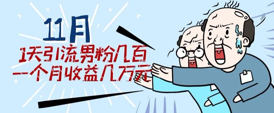 11月最新每天引流男粉300+一个月收益几万元-网赚项目平台