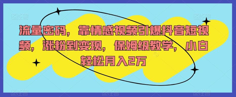流量密码，靠情感视频引爆抖音短视频，涨粉到变现，保姆级教学，小白轻松月入2万【揭秘】-网赚项目平台