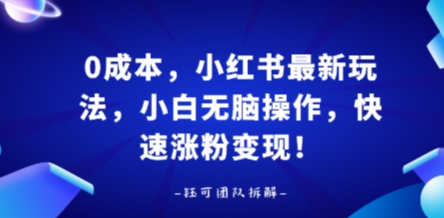 0成本，小红书最新玩法，小白无脑操作，快速涨粉变现-网赚项目平台