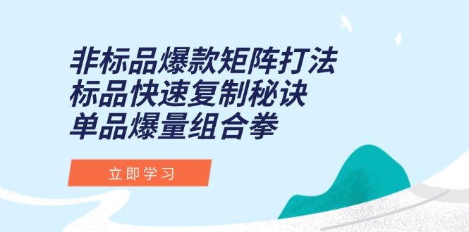 非标品爆款矩阵打法，标品快速复制秘诀，单品爆量组合拳-网赚项目平台