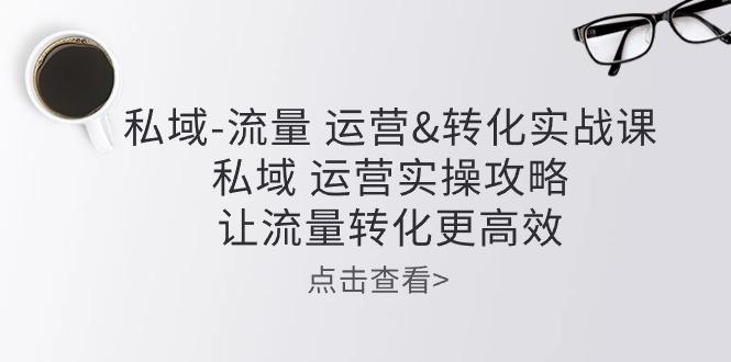 私域-流量 运营&转化实操课：私域 运营实操攻略 让流量转化更高效-网赚项目平台
