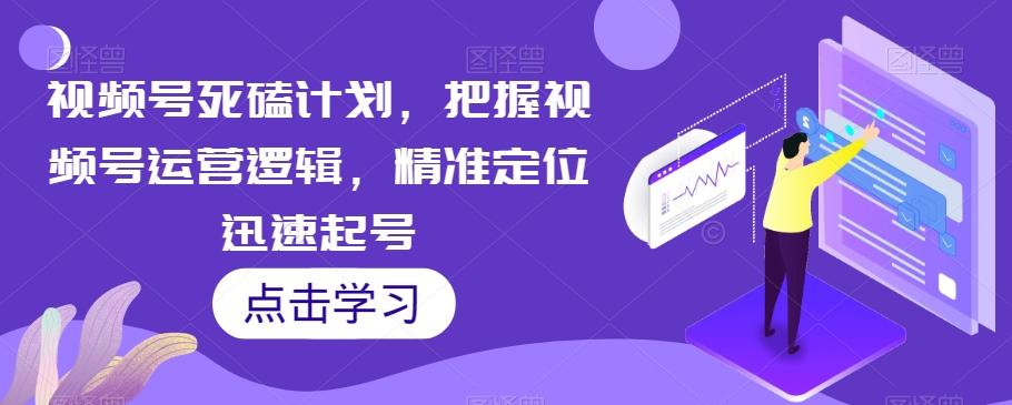 视频号死磕计划，把握视频号运营逻辑，精准定位迅速起号-网赚项目平台