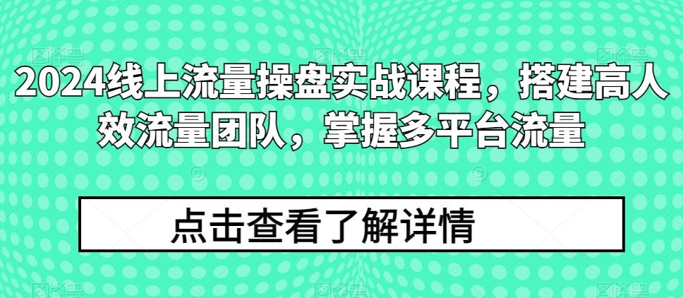 2024线上流量操盘实战课程，搭建高人效流量团队，掌握多平台流量-网赚项目平台