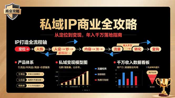 私域IP商业全攻略，从定位到变现，年入千万落地指南-网赚项目平台
