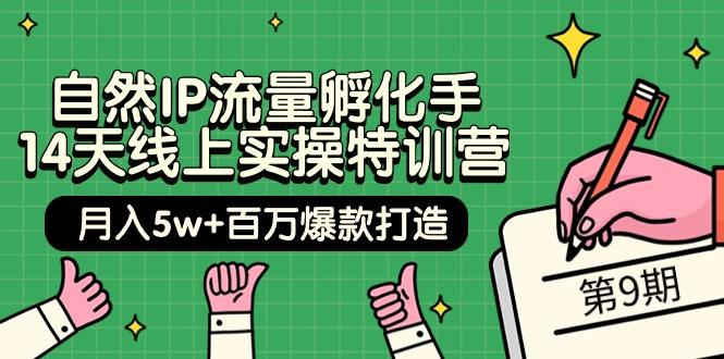 (9881期)自然IP流量孵化手 14天线上实操特训营【第9期】月入5w+百万爆款打造 (74节)-网赚项目平台