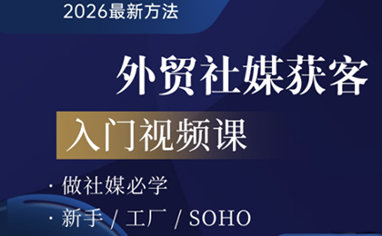2026外贸社媒获客入门课-网赚项目平台