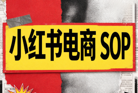 书豪必胜小红书电商sop(更新9月)-网赚项目平台
