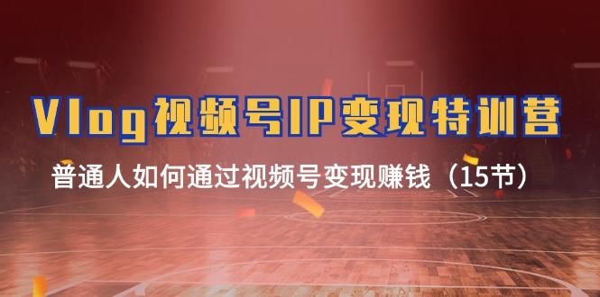 Vlog 视频号IP变现特训营，普通人如何通过视频号变现赚钱(15节-网赚项目平台