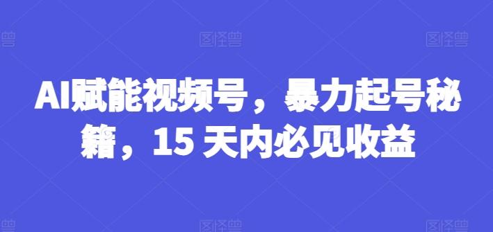 AI赋能视频号，暴力起号秘籍，15 天内必见收益【揭秘】-网赚项目平台