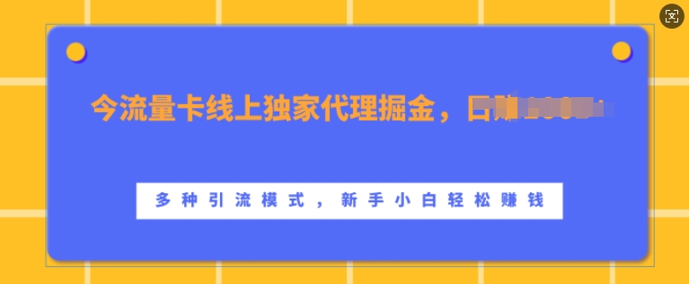 流量卡线上独家代理掘金，日入1k+ ，多种引流模式，新手小白轻松上手【揭秘】-网赚项目平台