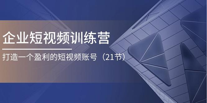 企业短视频训练营：打造一个盈利的短视频账号(21节-网赚项目平台