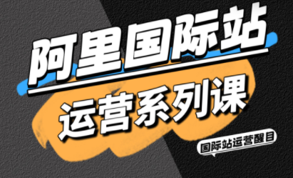 醒目老师·阿里国际站运营系列课(更新3月)-网赚项目平台
