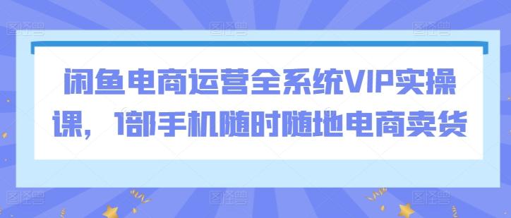 闲鱼电商运营全系统VIP实操课，1部手机随时随地电商卖货-网赚项目平台