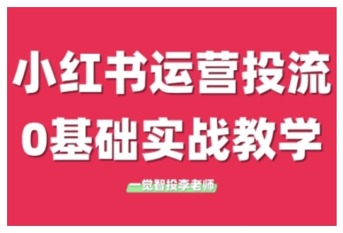 小红书运营投流，小红书广告投放从0到1的实战课，学完即可开始投放(更新)-网赚项目平台