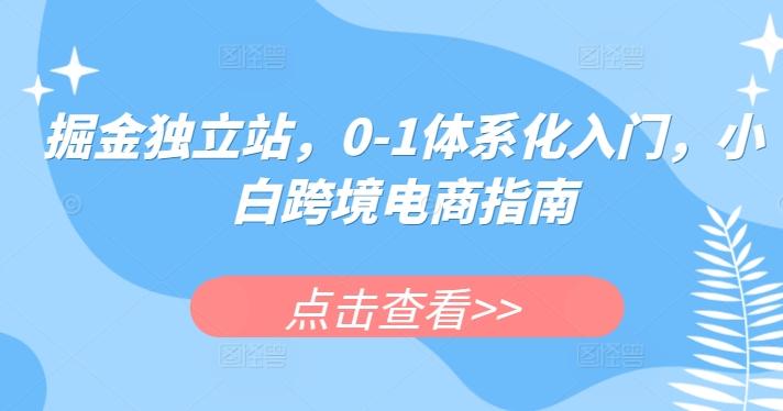 掘金独立站，0-1体系化入门，小白跨境电商指南-网赚项目平台