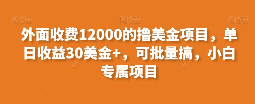 外面收费12000的撸美金项目，单日收益30美金+，可批量搞，小白专属项目-网赚项目平台