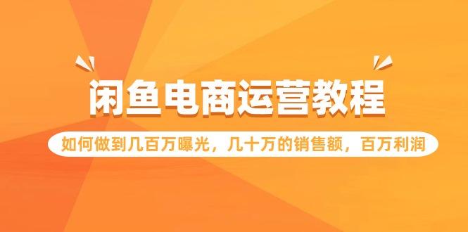 (9560期)闲鱼电商运营教程：如何做到几百万曝光，几十万的销售额，百万利润-网赚项目平台