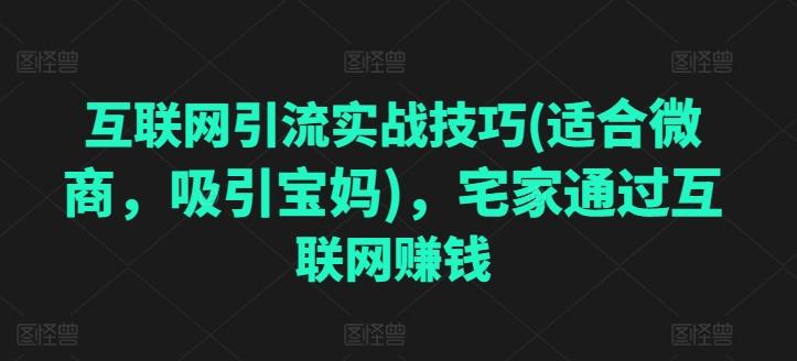互联网引流实战技巧(适合微商，吸引宝妈)，宅家通过互联网赚钱-网赚项目平台
