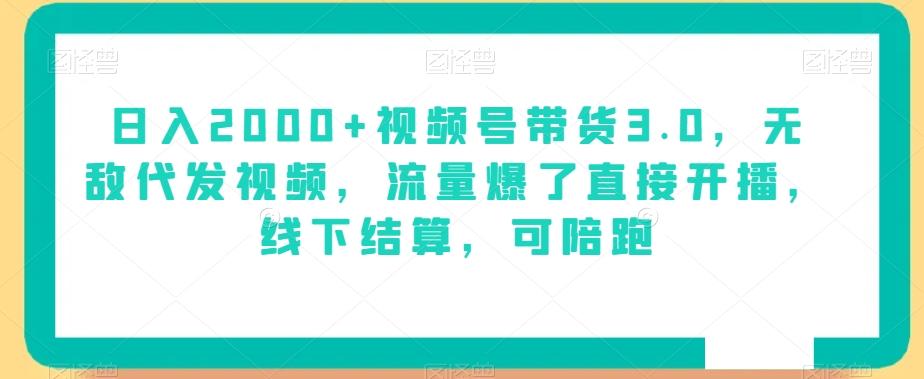 日入2000+视频号带货3.0，无敌代发视频，流量爆了直接开播，线下结算，可陪跑-网赚项目平台