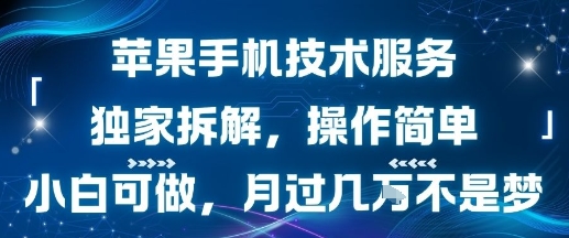 苹果手机技术服务，独家拆解，操作简单，小白可做，月过1W不是梦-网赚项目平台