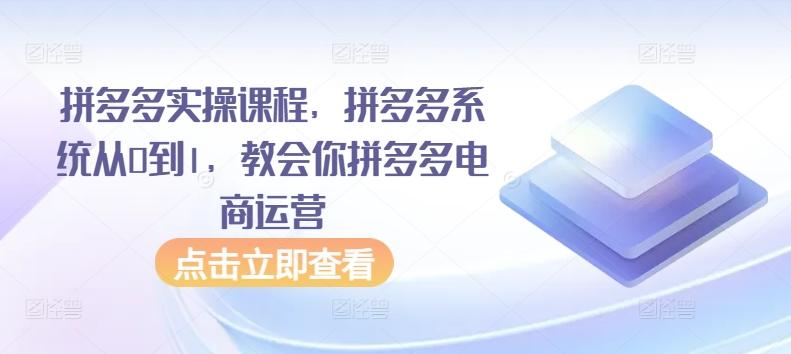 拼多多实操课程，拼多多系统从0到1，教会你拼多多电商运营-网赚项目平台