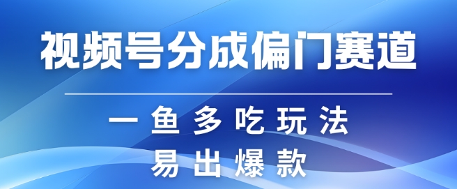 视频号创作者分成计划偏门类目，容易爆流，实拍内容简单易做【揭秘】-网赚项目平台