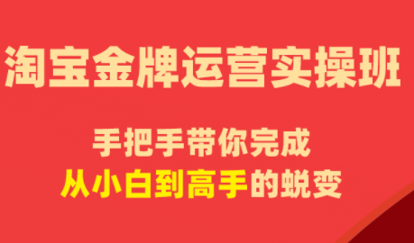 飓风电商·淘宝金牌运营实操班-网赚项目平台