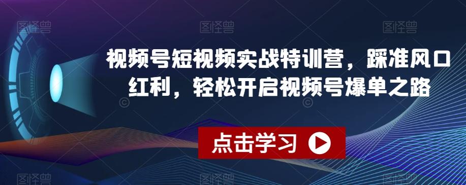 视频号短视频实战特训营，踩准风口红利，轻松开启视频号爆单之路-网赚项目平台