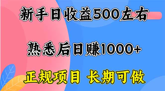 新手日收益500+ 正规项目 长期可做-网赚项目平台