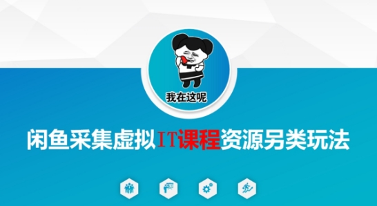 闲鱼采集虚拟IT课程资源另类玩法，干货满满-网赚项目平台