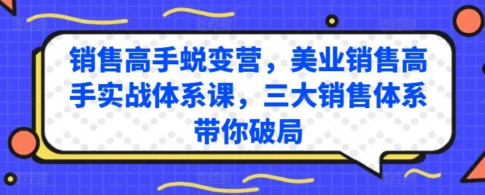 销售高手蜕变营，美业销售高手实战体系课，三大销售体系带你破局-网赚项目平台