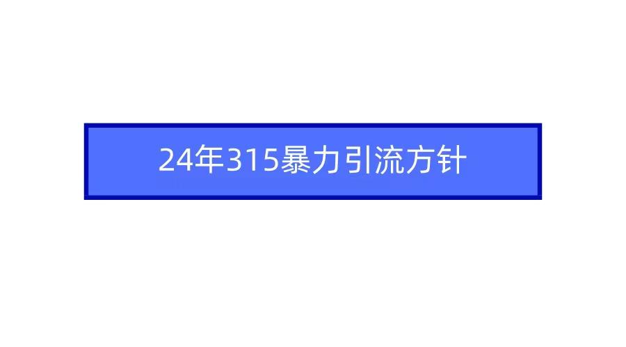 (9398期)2024年315暴力引流方针-网赚项目平台
