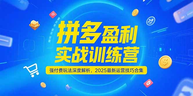 拼多多盈利实战训练营，强付费玩法深度解析，2025运营技巧合集-更新6月-网赚项目平台