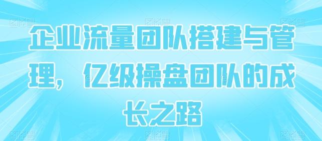 企业流量团队搭建与管理，亿级操盘团队的成长之路-网赚项目平台