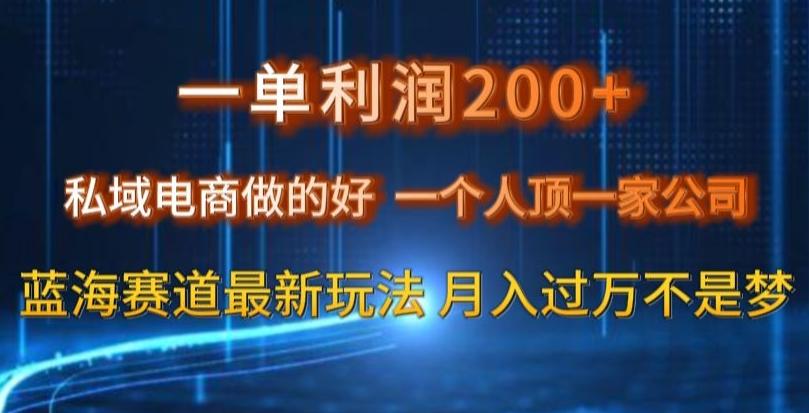 一单利润200私域电商做的好，一个人顶一家公司蓝海赛道最新玩法【揭秘】-网赚项目平台