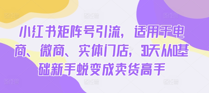 小红书矩阵号引流，适用于电商、微商、实体门店，30天从0基础新手蜕变成卖货高手-网赚项目平台