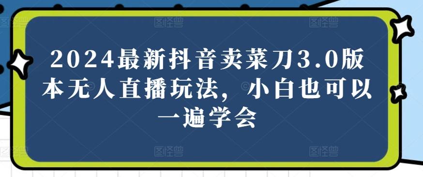 2024最新抖音卖菜刀3.0版本无人直播玩法，小白也可以一遍学会【揭秘】-网赚项目平台