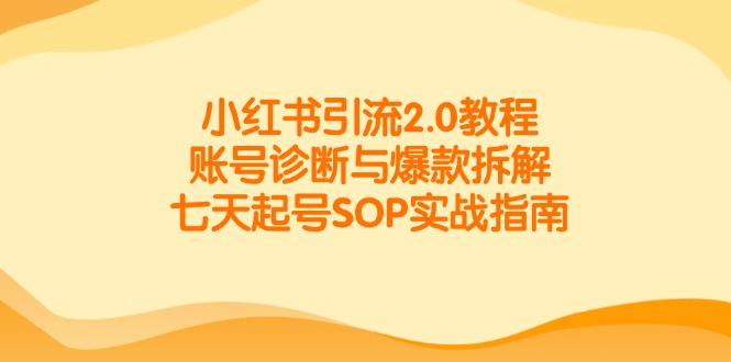 小红书引流2.0教程，账号诊断与爆款拆解，七天起号SOP实战指南-网赚项目平台