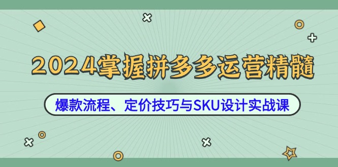 2024掌握拼多多运营精髓：爆款流程、定价技巧与SKU设计实战课-网赚项目平台