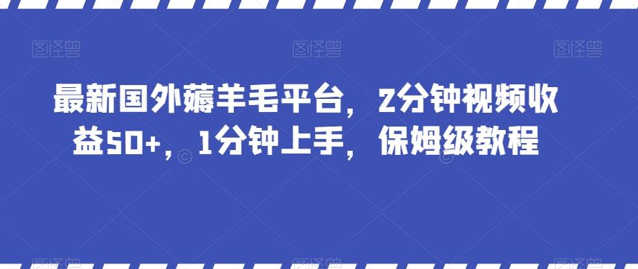 最新国外薅羊毛平台，2分钟视频收益50+，1分钟上手，保姆级教程【揭秘】-网赚项目平台